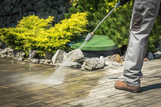 Best Pre-Holiday Cleaning  in Mount Healthy Heights, OH